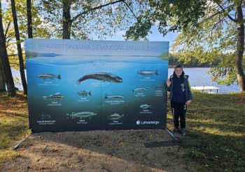 KULTŪRTANDĒMS: Cik labi tu atpazīsti zivis, kas sastopamas Daugavā?