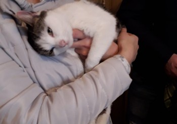 Jaunieši bieži nāk pamīļoties ar mūsu mazajiem draugiem