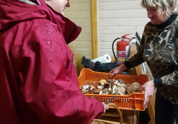 Nakts sēņošana 13.09.2019