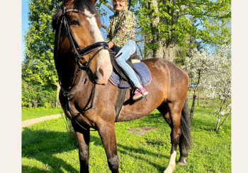 Noskaidroti uzvarētāji fotokonkursā senioriem 