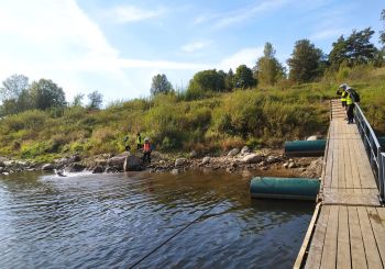 KULTŪRTANDĒMS: Koku un mežu iepazīšana Kalsnavas arborētumā un velobrauciens Jēkabpils novadā