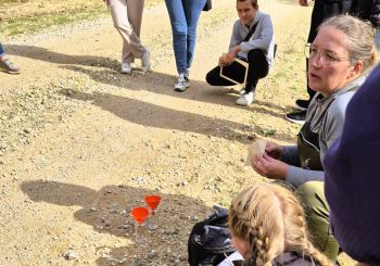 KULTŪRTANDĒMS: Koku un mežu iepazīšana Kalsnavas arborētumā un velobrauciens Jēkabpils novadā