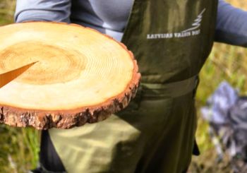 KULTŪRTANDĒMS: Koku un mežu iepazīšana Kalsnavas arborētumā un velobrauciens Jēkabpils novadā