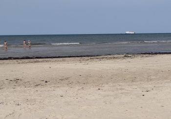 Borščs ar pampuškām, kartupeļu pankūkas (deruni), vareniki: Liepāja sasauc Latvijas mazākumtautību “samitu”