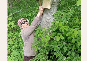 Noskaidroti uzvarētāji fotokonkursā senioriem 