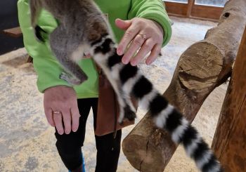 Ukraiņu un latviešu ģimenes dodas iepazīt Vidzemi un Latgali