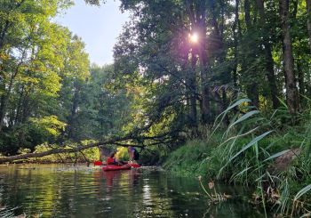 KULTŪRTANDĒMS: Latvieši un ukraiņi vienā laivā