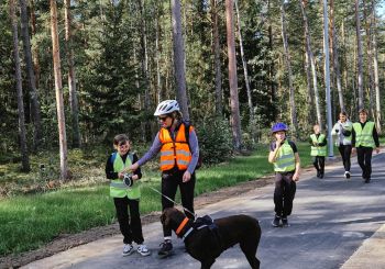 KULTŪRTANDĒMS: Koku un mežu iepazīšana Kalsnavas arborētumā un velobrauciens Jēkabpils novadā