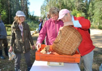 Pļaviņu novada 6. sēņošanas čempionāts 