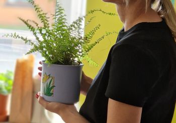 Gulbenes senioru vizīte Jēkabpilī: pieredzes apmaiņa un jauni iespaidi