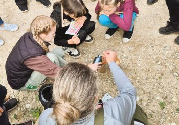 KULTŪRTANDĒMS: Koku un mežu iepazīšana Kalsnavas arborētumā un velobrauciens Jēkabpils novadā