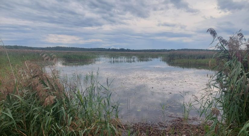 29. novembrī Rīgā notiks konference “Labākā prakse kūdras atradņu atjaunošanā”