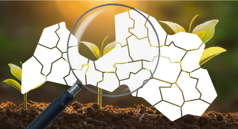 Bez vienotiem standartiem: kā pašvaldības veido (vai neveido) stipru pilsonisko sabiedrību?