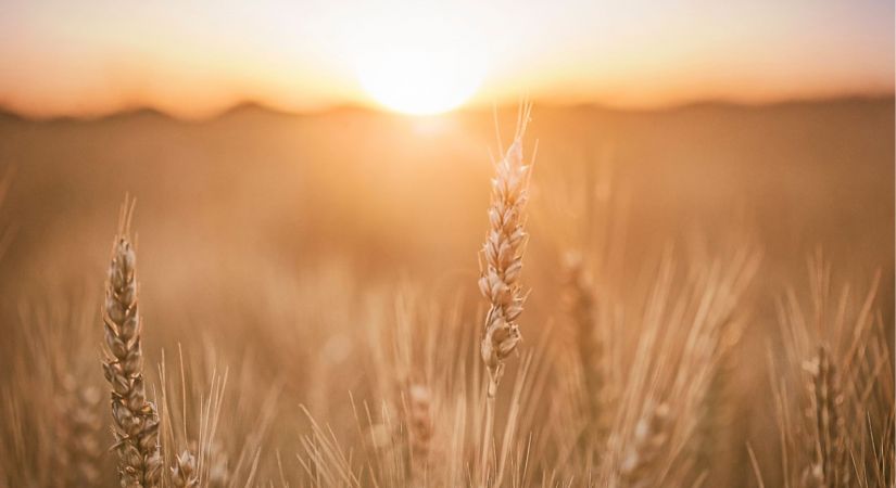 Apstiprina Vidusdaugavas NVO centrs izstrādāto SVVA stratēģiju