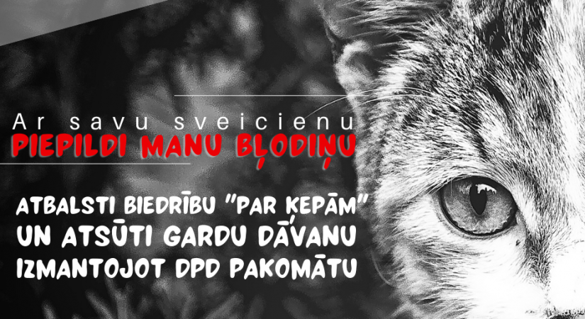 Ar sveicienu piepildi uz ielas nonākušo kaķu bļodiņas