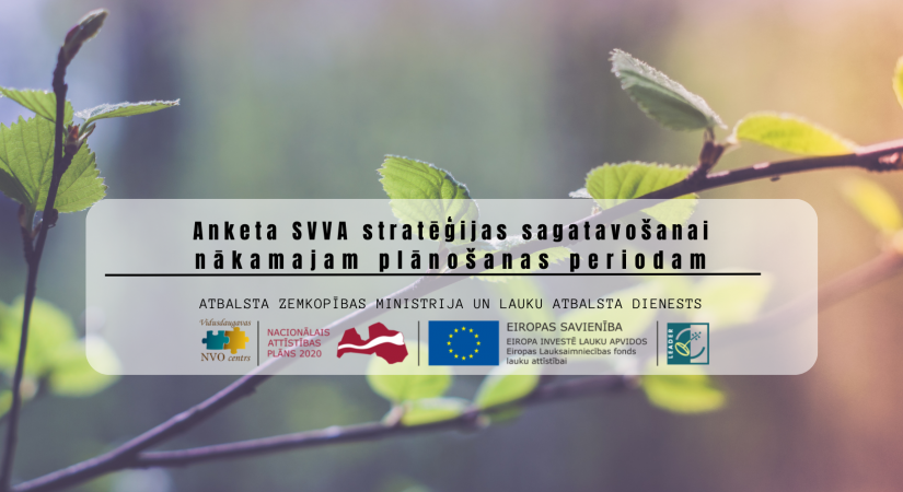 Izsaki savas domas, aizpildot anketu, par SVVA stratēģijas sagatavošanu nākamajam plānošanas periodam.