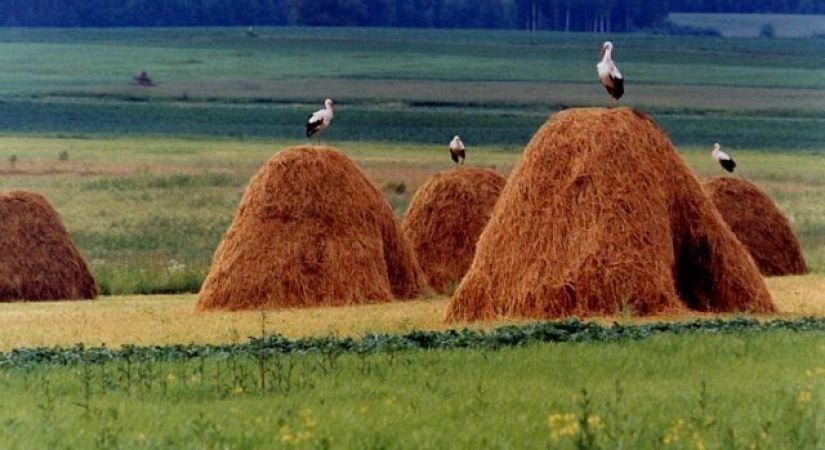 “Vidusdaugavas NVO centrs” uzsāk sabiedrības virzītas vietējās attīstības stratēģijas 2023.–2027.gadiem izstrādi