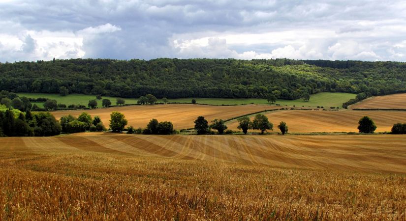 LEADER nav tikai finanšu instruments, bet efektīva Eiropas lauku attīstības pieeja