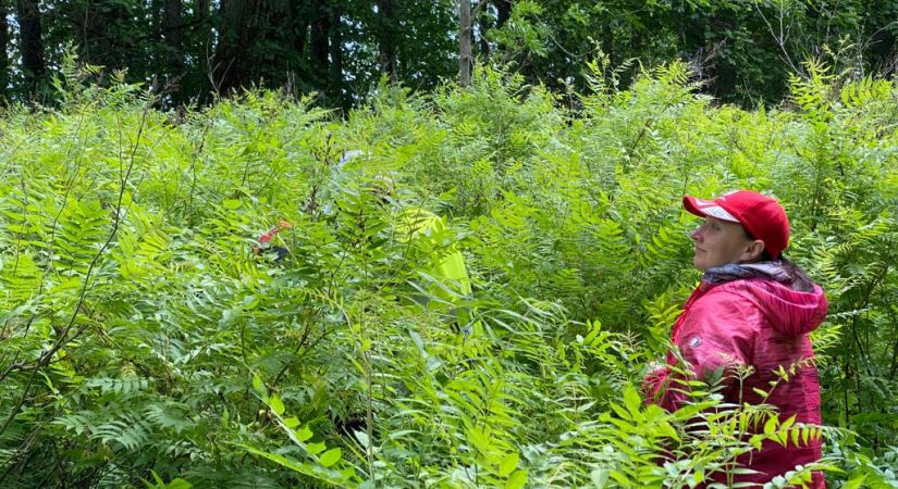 Nakts saulgriežu pārgājienam Sēlijā jau piecgade