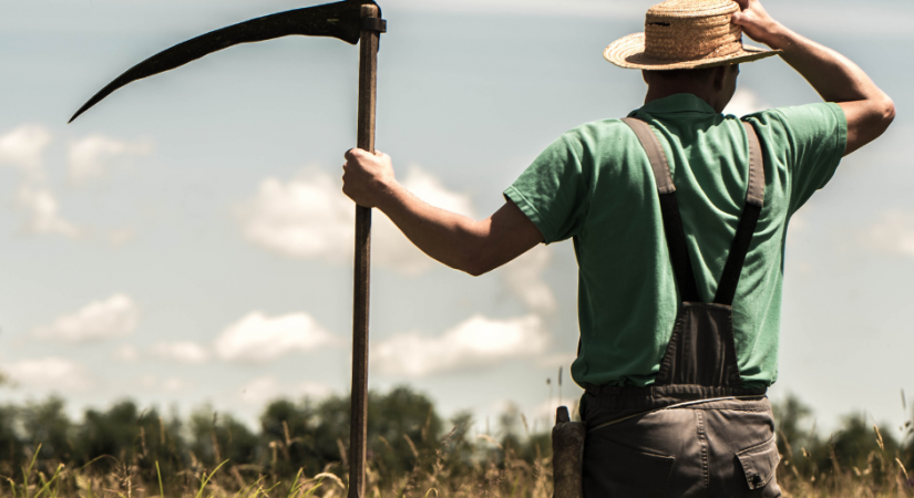 Piesakies Pļaviņu apvienības kausa izcīņā pļaušanā ar rokas izkapti!