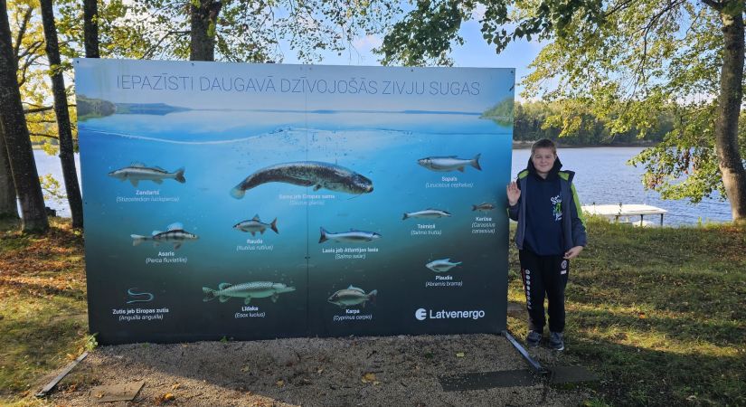 KULTŪRTANDĒMS: Cik labi tu atpazīsti zivis, kas sastopamas Daugavā?