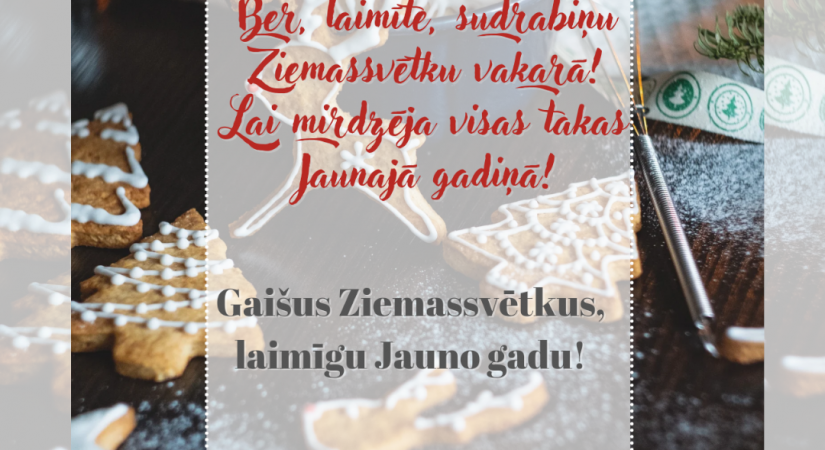 Vidusdaugavas NVO centrs novēl svētīgus Ziemassvētkus un brīnumiem pilnu Jauno gadu! 