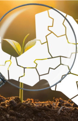 Bez vienotiem standartiem: kā pašvaldības veido (vai neveido) stipru pilsonisko sabiedrību?