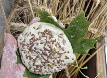 Īsteno LEADER programmas projektu “Maizes skola”