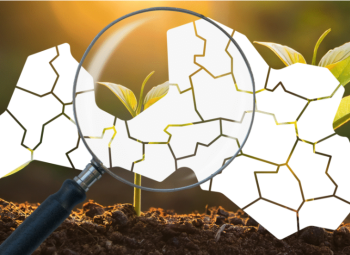 Bez vienotiem standartiem: kā pašvaldības veido (vai neveido) stipru pilsonisko sabiedrību?