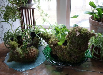 Februāris šogad ir īsts pavasara mēnesis,   un „Ūdenszīmes” aicina uz diviem sezonai atbilstošiem pasākumiem