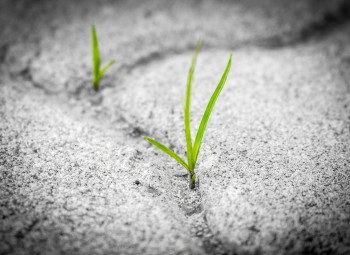 Jēkabpils NVO aktualitātes no 27. līdz 31. janvārim