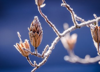 Jēkabpils NVO aktualitātes no 3. līdz 7. februāris