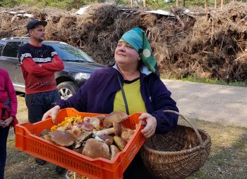 Pļaviņu novada 7. sēņošanas čempionāts