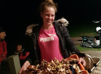 Nakts burvība mežā