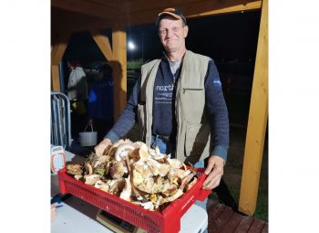 Pēc sēnēm dodas pat naktī